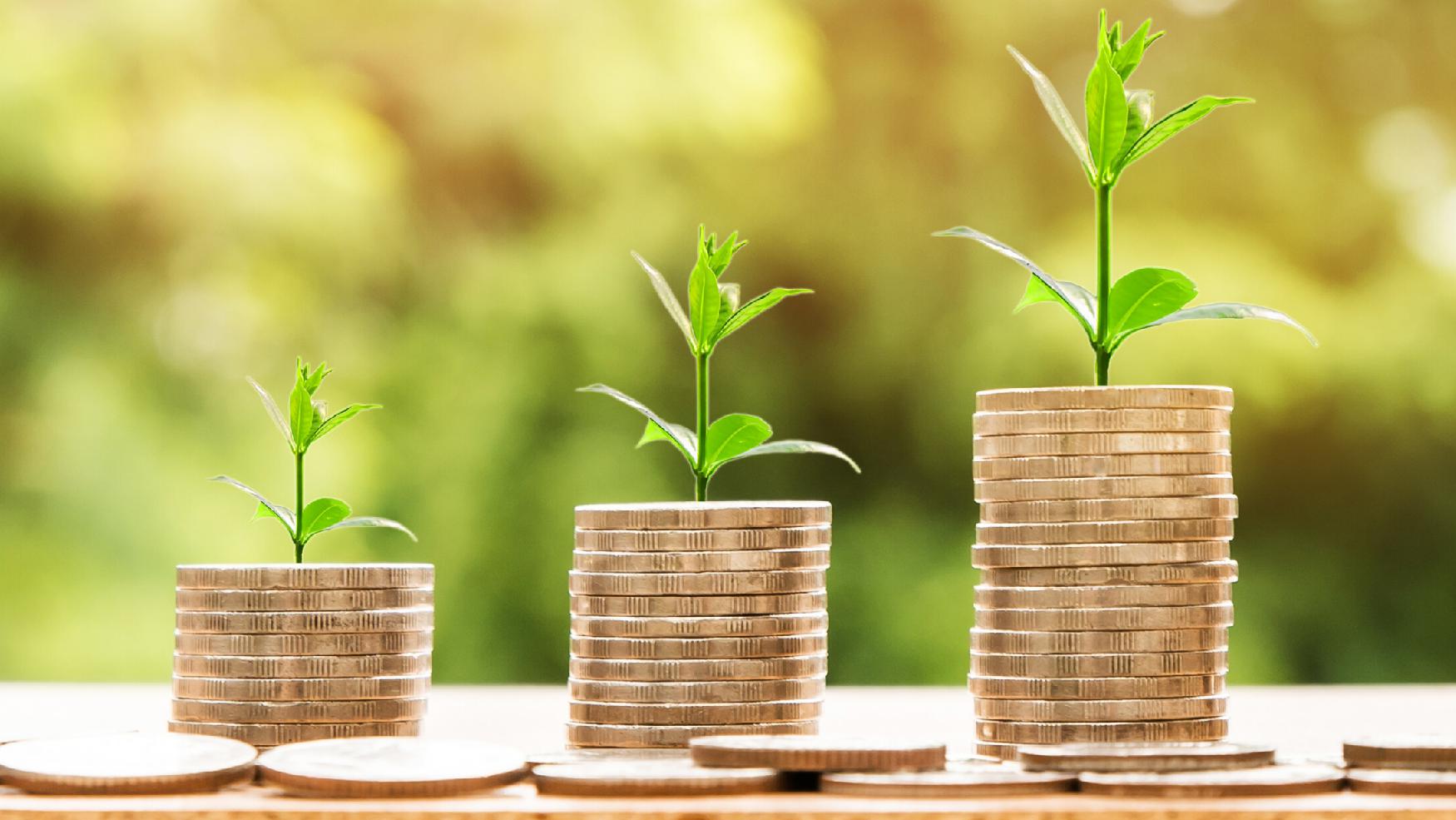 Read more about the article 9 Timeless core Investing principles to grow your wealth effortlessly